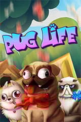 Pug Life - Online Pokie